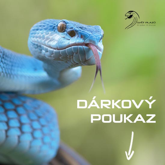 svet plazu darkovy poukaz