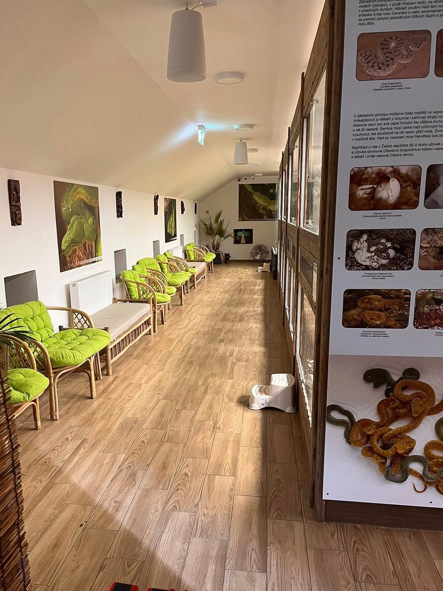 svet plazu expozice