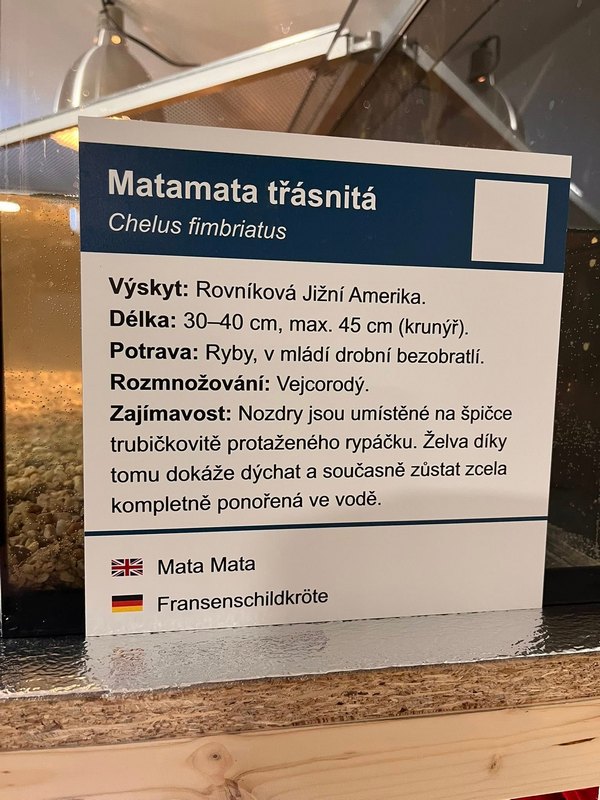 matamata popisek