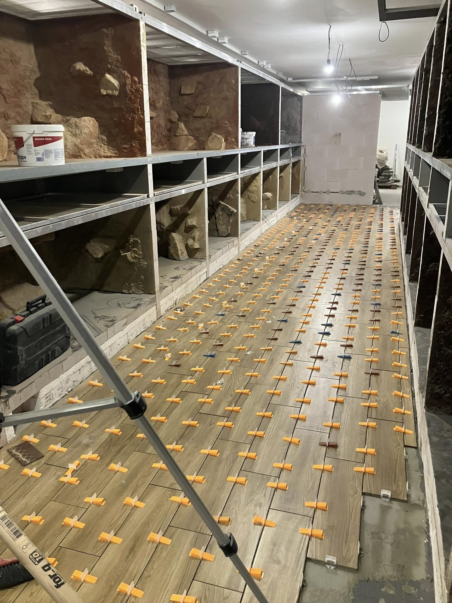 svet plazu proces